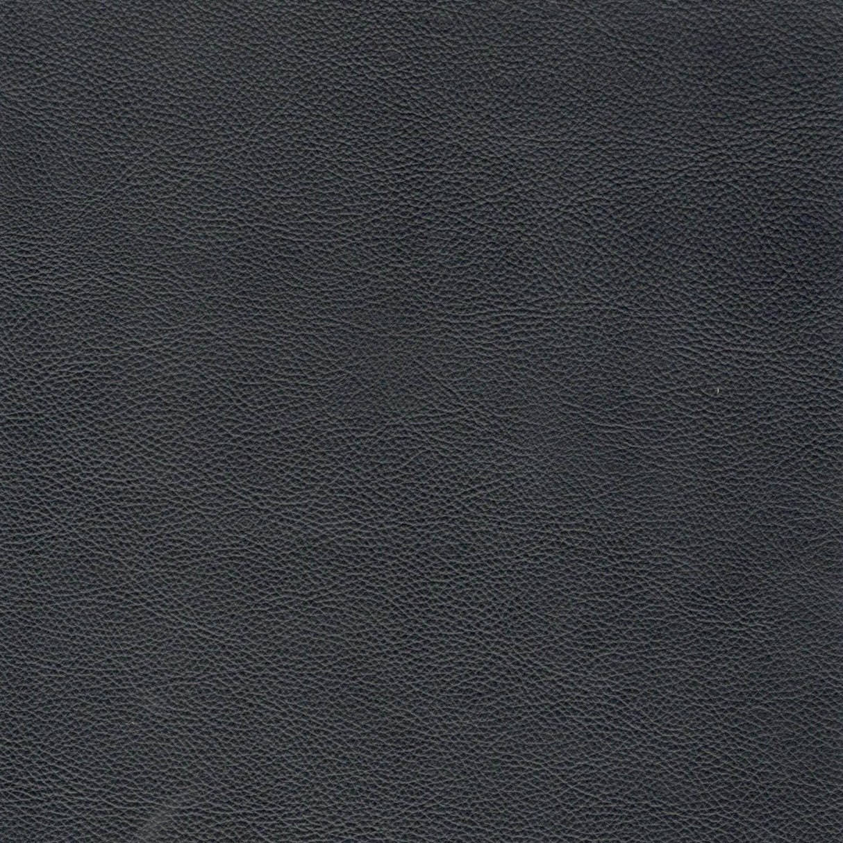 Mid-Century Tufted Navy Leather 3-Seat Sofa - Omega Lifestyles