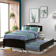 Twin Solid Wood Platform Bed With Trundle Espresso - Blissora - Omega Lifestyles