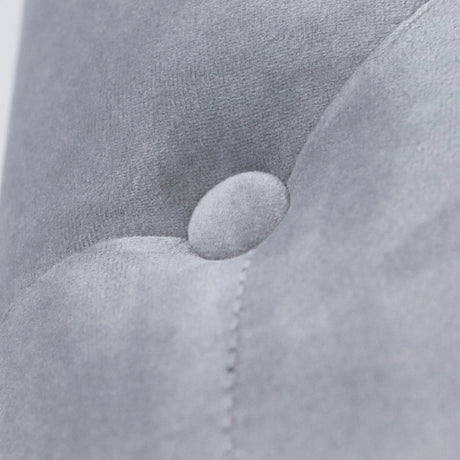 Classic Velvet Storage Chaise Lounge With Pillow - Omega Lifestyles