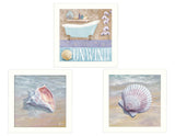 Multicolor MDF 3-Piece Shells II Wall Art Set - Omega Lifestyles
