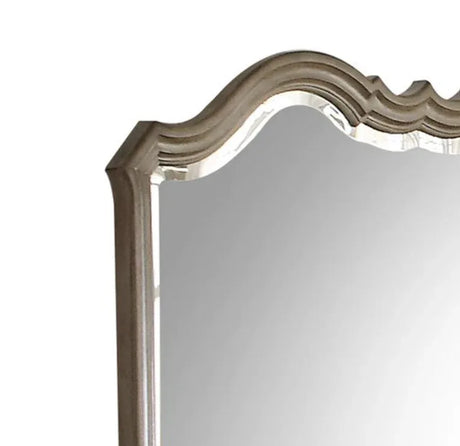 Antique Taupe Beveled Edge Decorative Wall Mirror - Omega Lifestyles