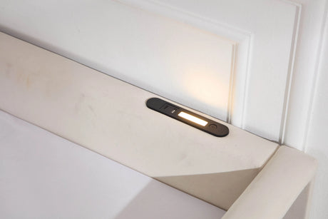 Twin Velvet Upholstered Daybed With Trundle Modern Design - Omega Lifestyles