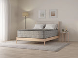 Soft 14-Inch Plush Foam Spring King Mattress - Omega Lifestyles