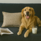 Textured Woven Beige Polyester Decorative Throw Pillow - Omega Lifestyles