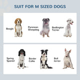 Elevated Raised Pet Feeder With Stainless Steel Bowls - Sleep Galleria