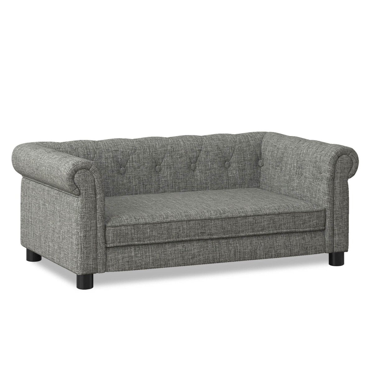 Modern Elevated Foam Pet Bed For Small Medium Dogs - Omega Lifestyles