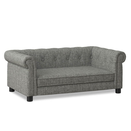 Modern Elevated Foam Pet Bed For Small Medium Dogs - Omega Lifestyles