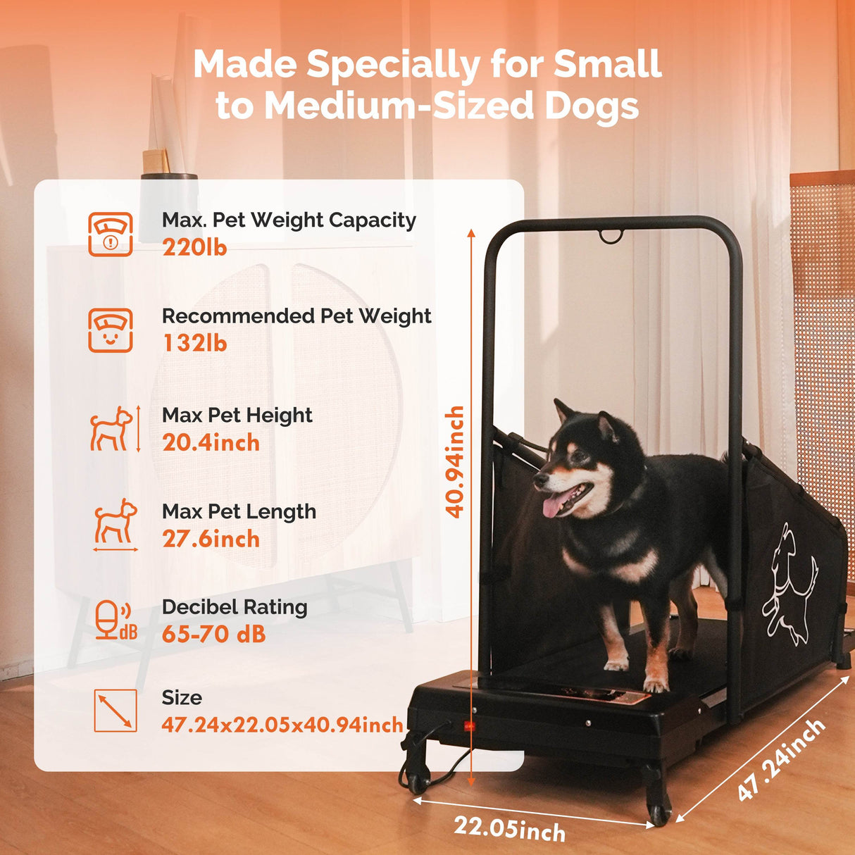 Pet Treadmill For Medium Dogs With Remote Control - Omega Lifestyles