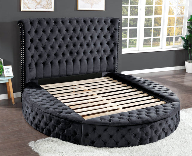 Hazel Queen Velvet Upholstered Wood Storage Bed - Omega Lifestyles