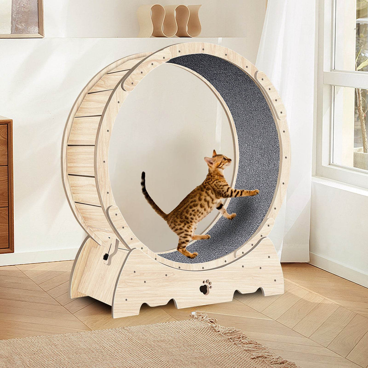 Solid Wood Indoor Cat Exercise Running Wheel - Sleep Galleria