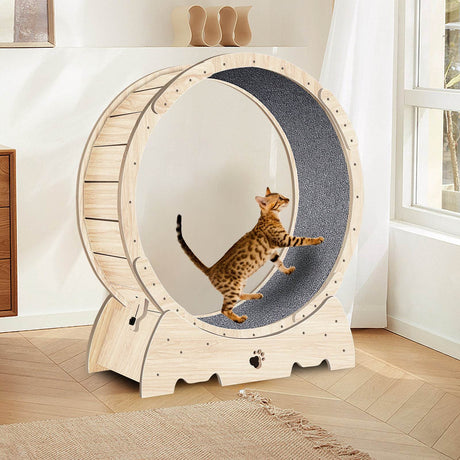 Solid Wood Indoor Cat Exercise Running Wheel - Sleep Galleria