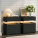 Set Of 2 Modern LED Lighted Nightstands With Storage - Omega Lifestyles