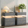 Set Of 2 Modern LED Lighted Nightstands With Storage - Omega Lifestyles