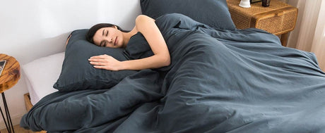2-Piece Plush Microfiber Comforter Set With Pillow Shams - Sleep Galleria