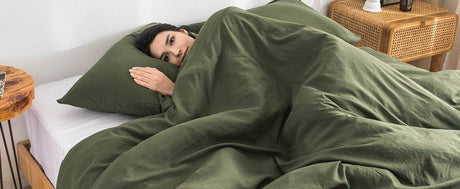 2-Piece Plush Microfiber Comforter Set With Pillow Shams - Sleep Galleria