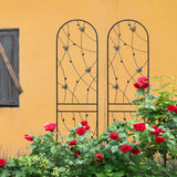 2-Piece Black Iron Metal Garden Trellis Set