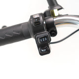 Adult Folding Electric 350W Motor 2-Seat Carbon Steel Trike - Omega Lifestyles