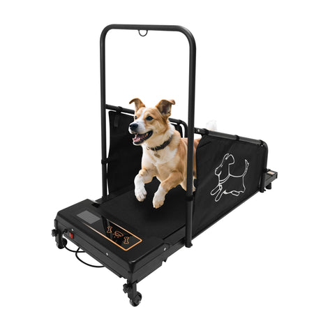 Pet Treadmill For Medium Dogs With Remote Control - Omega Lifestyles