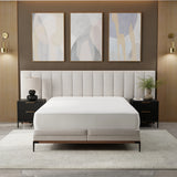 Queen Quiet Comfort Waterproof Mattress Protector - Omega Lifestyles