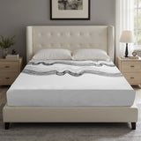 Medium 12-Inch Plush Foam Queen Mattress - Omega Lifestyles