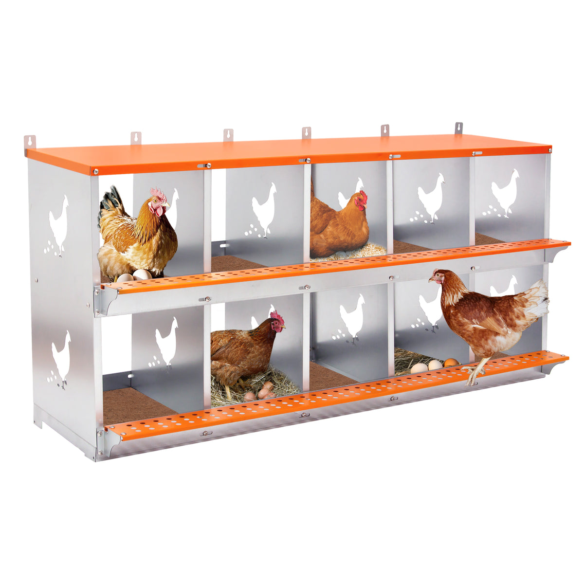 10-Bay Rust-Resistant Galvanized Steel Metal Nest Box