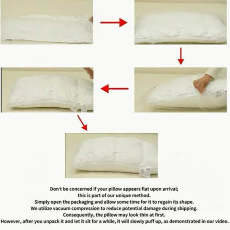 Set of 2 Deep Sleep Neck Support Plaid Pillows - Sleep Galleria