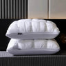 Set of 2 Deep Sleep Neck Support Plaid Pillows - Sleep Galleria