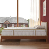 Soft 12-Inch Euro Top Hybrid Pocket Coil Queen Mattress - Omega Lifestyles