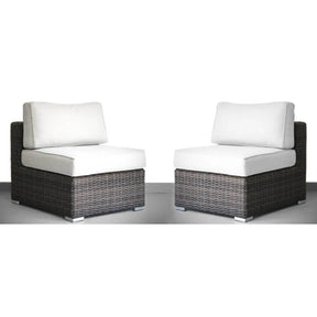 2-Piece Minnesota Durable Aluminum HDPE Wicker Chair Set - Omega Lifestyles