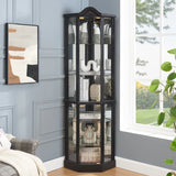 Antique Black Glass Corner Curio Cabinet With Lighting - Omega Lifestyles