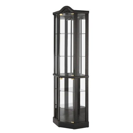 Antique Black Glass Corner Curio Cabinet With Lighting - Omega Lifestyles
