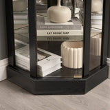 Antique Black Glass Corner Curio Cabinet With Lighting - Omega Lifestyles