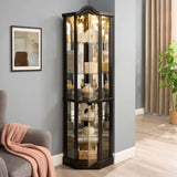Antique Black Glass Corner Curio Cabinet With Lighting - Omega Lifestyles