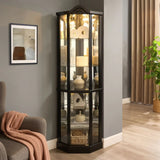 Antique Black Glass Corner Curio Cabinet With Lighting - Omega Lifestyles