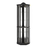 Antique Black Glass Corner Curio Cabinet With Lighting - Omega Lifestyles