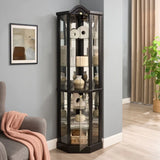Antique Black Glass Corner Curio Cabinet With Lighting - Omega Lifestyles