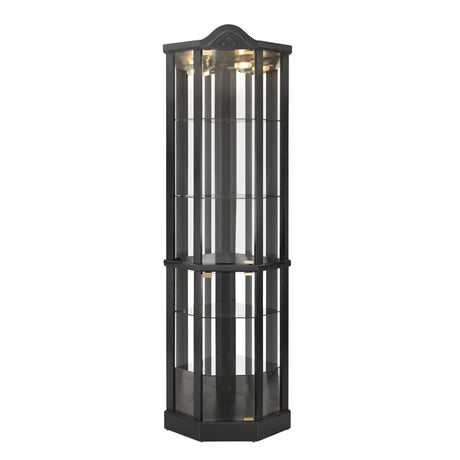 Antique Black Glass Corner Curio Cabinet With Lighting - Omega Lifestyles