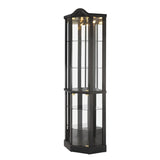 Antique Black Glass Corner Curio Cabinet With Lighting - Omega Lifestyles