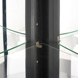 Antique Black Glass Corner Curio Cabinet With Lighting - Omega Lifestyles