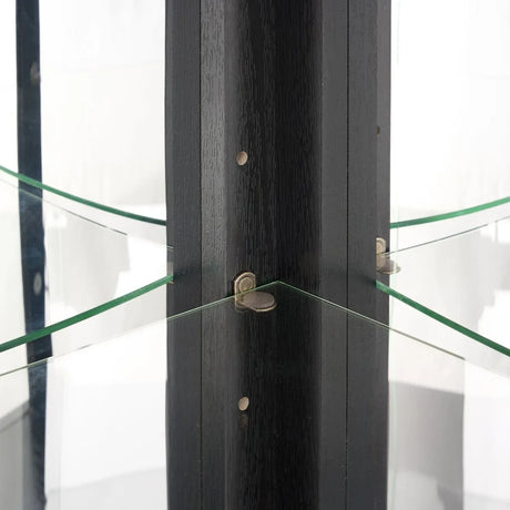 Antique Black Glass Corner Curio Cabinet With Lighting - Omega Lifestyles