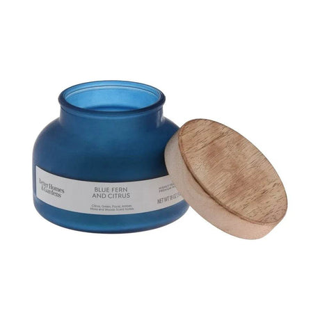 Blue Fern Citrus Scented 2-Wick 18oz Jar Candle - Sleep Galleria