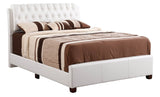 Contemporary White PU Queen Bed Frame - Driftwood - Omega Lifestyles