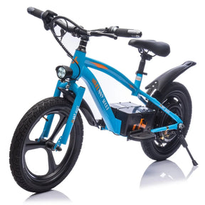 Electric Kids Balance Bike 300W Motor 16-Inch Tires - Omega Lifestyles