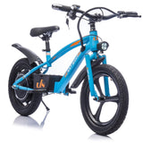 Electric Kids Balance Bike 300W Motor 16-Inch Tires - Omega Lifestyles