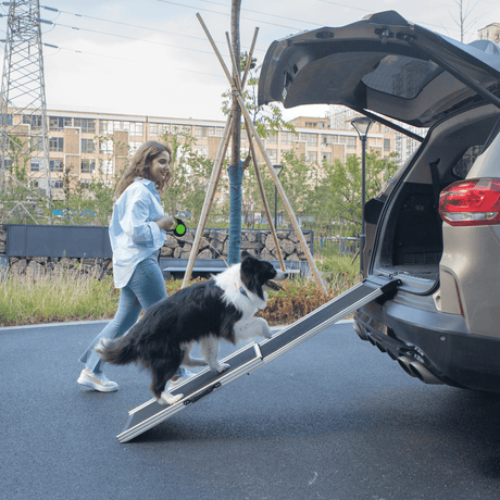 Foldable Aluminum Dog Ramp With Non-Slip Mat - Sleep Galleria