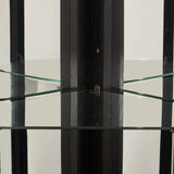 Illuminated Corner Glass Curio Cabinet With Adjustable Shelves - Omega Lifestyles