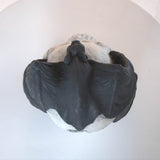 Metal Demon Skull Gas Log Fire Pit Accessory - Driftwood - Omega Lifestyles