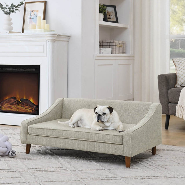 Modern Durable Elevated Foam Dog Sofa Bed - Omega Lifestyles