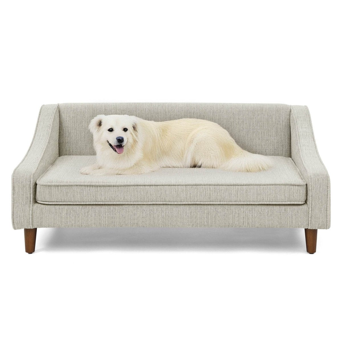 Modern Durable Elevated Foam Dog Sofa Bed - Omega Lifestyles