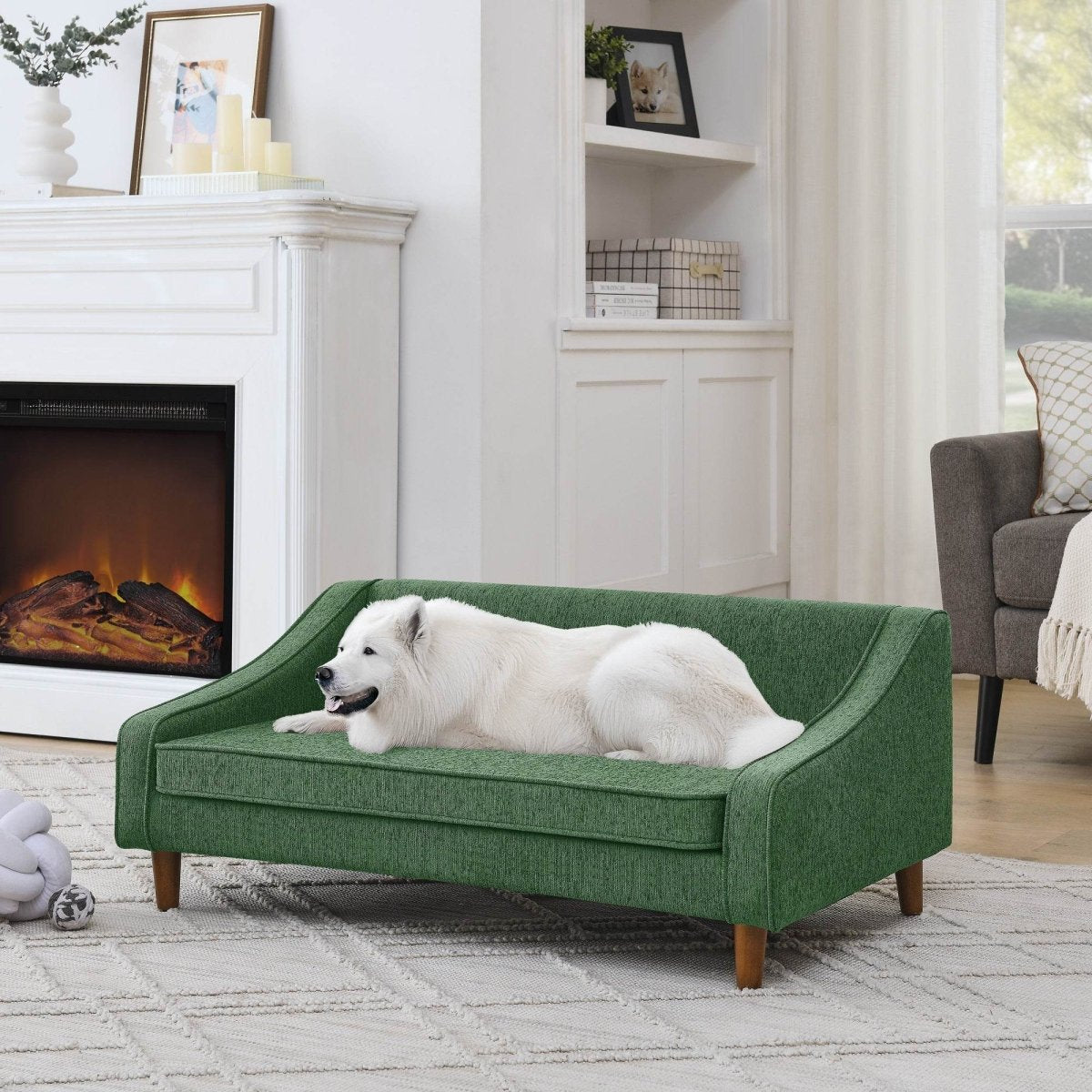 Modern Durable Elevated Foam Dog Sofa Bed - Omega Lifestyles
